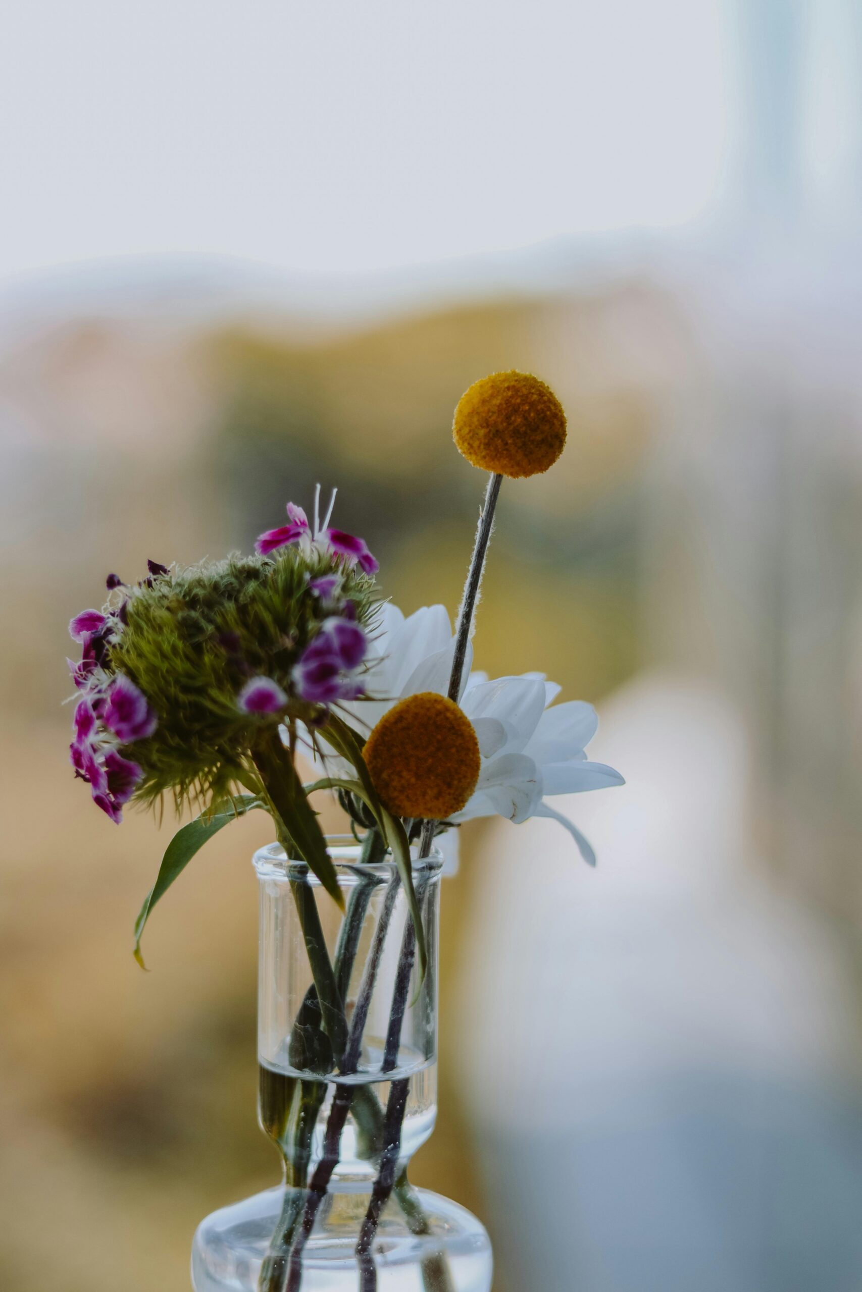 Don’t Buy Yourself Flowers